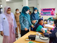 Canangkan Vaksinasi Covid-19, TP-PKK Maros Gelar Edukasi Bagi Ibu Hamil