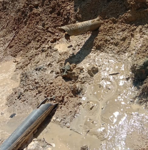 IMG-20220120-WA0016_1