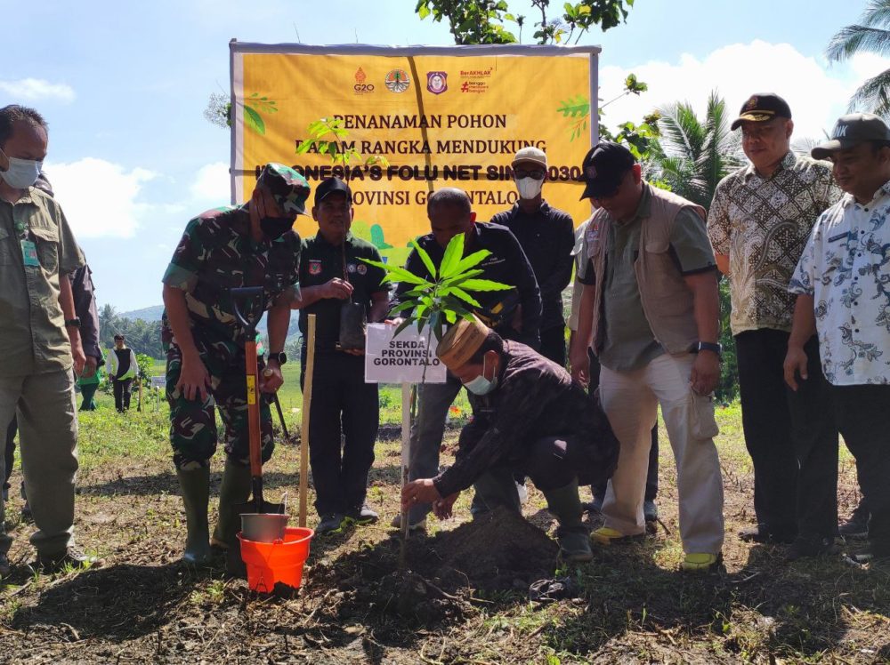 23-36-30-IMG_20220701_191826_395-e1656703364554