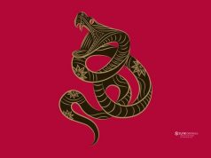 Ramalan Shio Ular Di Tahun 2024: Keuangan, Asmara, Karier dan Kesehatan