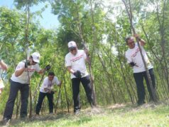 Hijau di Balik Cerobong, Tonasa Wujudkan Energi Bersih dari Panen Perdana Kaliandra