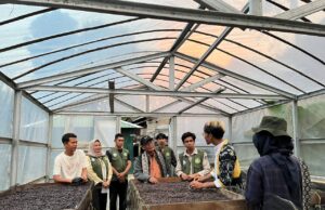 Program Kampus Kopi HIMANIS UNM di Sinjai Dapat Apresiasi dari Belmawa Kemendikbudristek