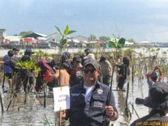 Prodi Ilmu Kelautan ITBM Balik Diwa Libatkan Pelajar dan Warga Tanam Mangrove di Parangloe Makassar