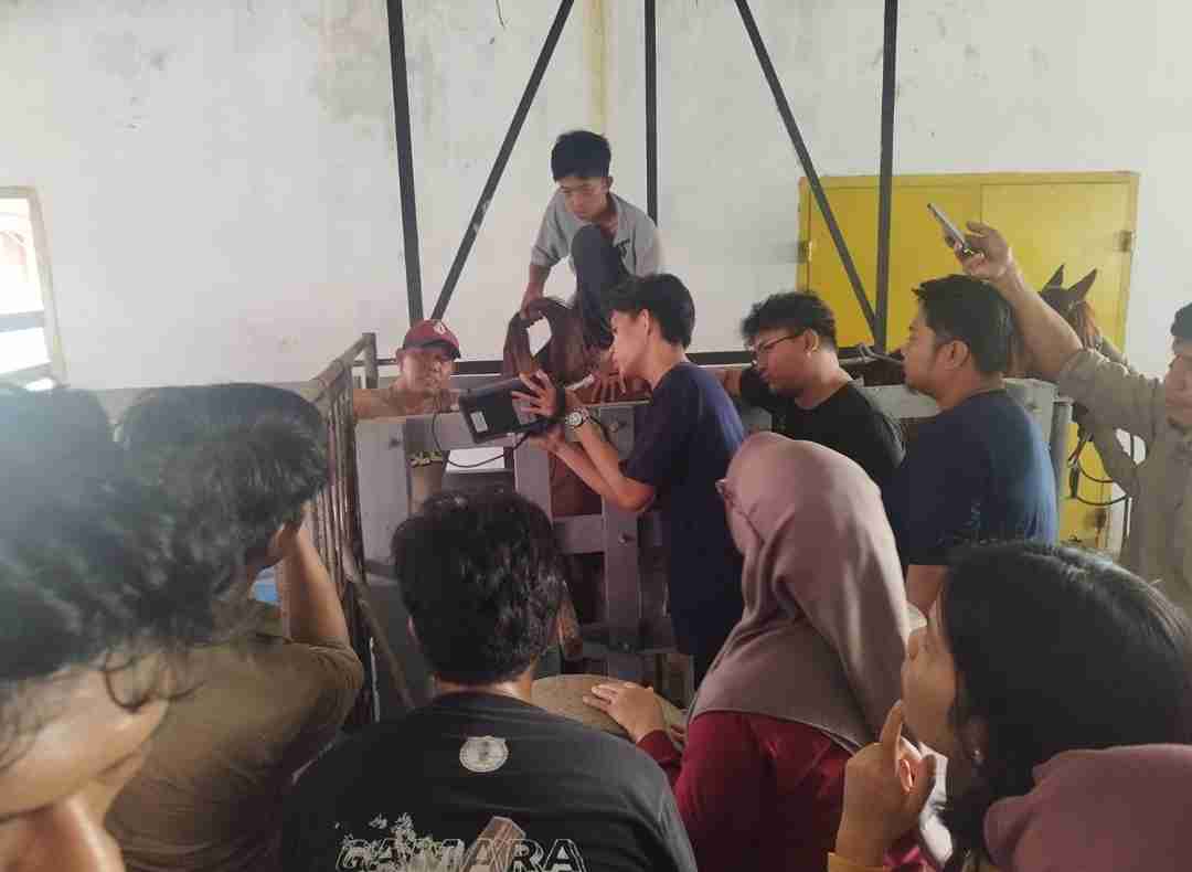 Screenshot_2026-02-14-22-26-46-967-edit_com.whatsapp_11zon