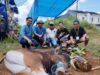 Wakajati Sulut Ferry Tas Dt. Toembidjo Hadiri Penyembelihan Qurban IKM Sapayuang, Perkuat Ukhuwah di Tanah Rantau