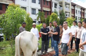 Kejati Sulut Tebar Kepedulian Lewat Qurban Idul Adha 1447 H, Wakajati Sulut Ferrytass Dt. Toembidjo; Dari Keikhlasan Menuju Pengabdian