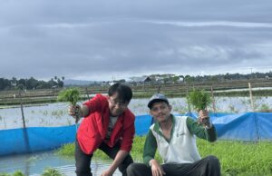 Serangan Hama dan Jamur Picu Gagal Panen, Tim PPK Ormawa Unhas Hadirkan Solusi Smart Hydro Loop