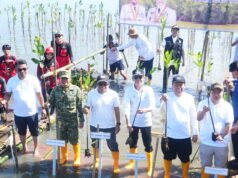 PT Semen Tonasa Ambil Bagian dalam Penanaman 7.000 Mangrove di Pangkep