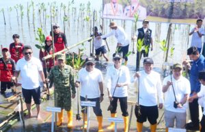 PT Semen Tonasa Ambil Bagian dalam Penanaman 7.000 Mangrove di Pangkep