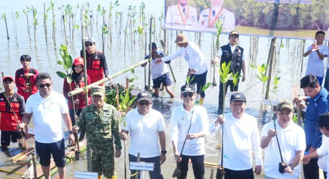 PT Semen Tonasa Ambil Bagian dalam Penanaman 7.000 Mangrove di Pangkep