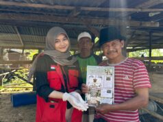Mahasiswa KKN-PK Unhas Gelar SAPA TERNAK, Tingkatkan Kesehatan Sapi dan Literasi Peternak di Sidrap