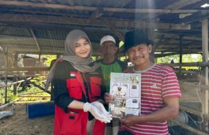 Mahasiswa KKN-PK Unhas Gelar SAPA TERNAK, Tingkatkan Kesehatan Sapi dan Literasi Peternak di Sidrap