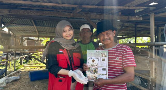 Mahasiswa KKN-PK Unhas Gelar SAPA TERNAK, Tingkatkan Kesehatan Sapi dan Literasi Peternak di Sidrap