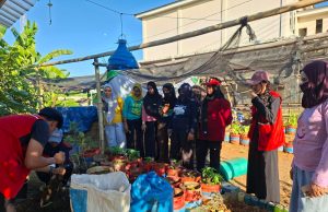 Mahasiswa KKN Unhas Sulap Kebun Posyandu Bonto Tallasa Jadi Lahan Percontohan Tanaman Produktif