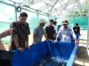 FIKP Unhas Kembangkan Budidaya Ulva untuk Dorong Produktivitas dan Pasar Ekspor