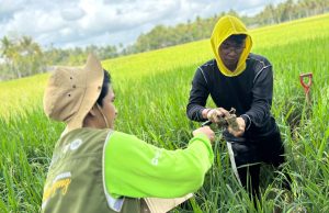 Tim PPK Ormawa UKM KPI Unhas Olah Limbah Jadi Kompos, Lanjut Uji Tanah di BRIN
