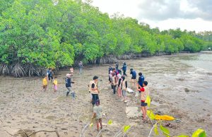 Mahasiswa KKN USN Kolaka dan Global Social Indonesia Tanam Mangrove di Pesisir Bombana