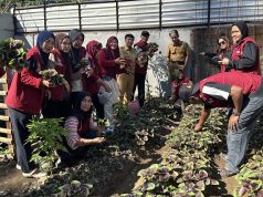 Kolaborasi RT dan RW 04 Maccini Parang Sulap Lahan Tidur Jadi Urban Farming Sipakatau