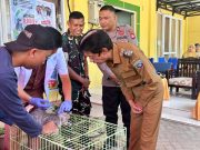 World Rabies Day, Pemkab Pangkep Perkuat Vaksinasi Rabies
