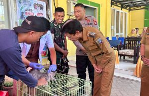 World Rabies Day, Pemkab Pangkep Perkuat Vaksinasi Rabies