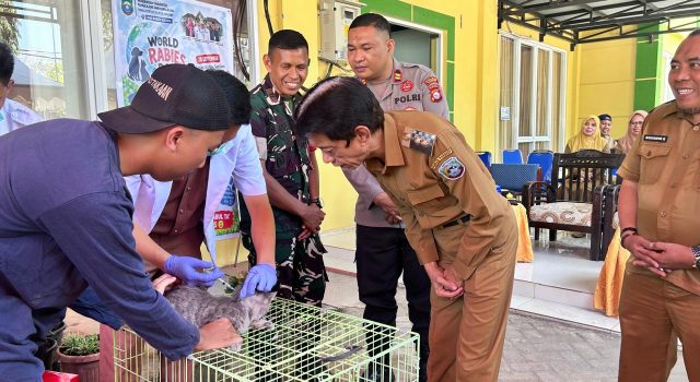 World Rabies Day, Pemkab Pangkep Perkuat Vaksinasi Rabies